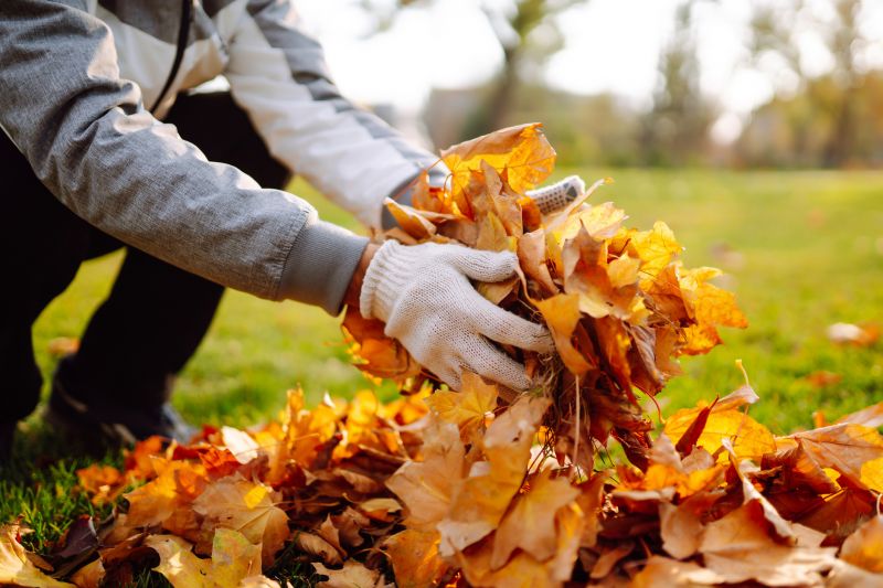 Leaf Collection and Gathering
