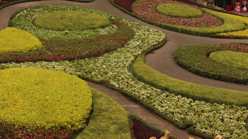 Completed Garden Layout